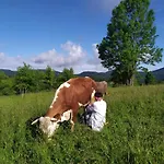 Tourist Farm Strle With Great Local Food *