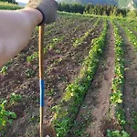 Tourist Farm Strle With Great Local Food Smještaj na farmi Cerknica