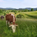 Tourist Farm Strle With Great Local Food *