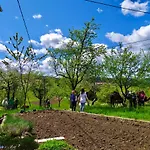 Smještaj na farmi Tourist Farm Strle With Great Local Food Cerknica