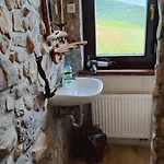 Smještaj na farmi Tourist Farm Strle With Great Local Food Cerknica