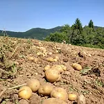 Tourist Farm Strle With Great Local Food * Cerknica