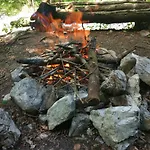 Smještaj na farmi Tourist Farm Strle With Great Local Food