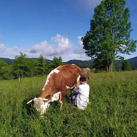 Tourist Farm Strle With Great Local Food *