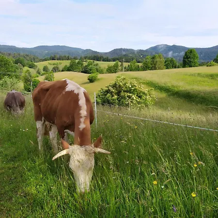 Tourist Farm Strle With Great Local Food *