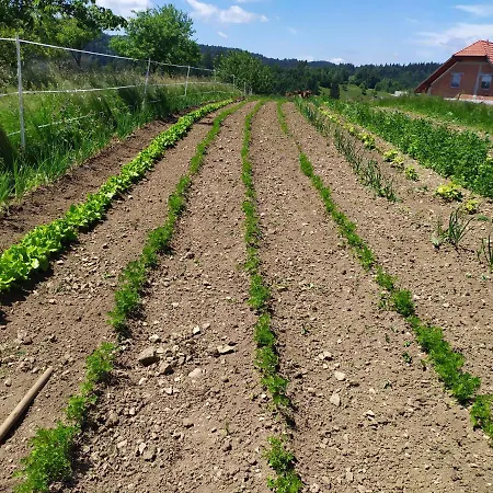 Tourist Farm Strle With Great Local Food Cerknica