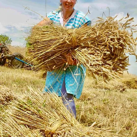 Tourist Farm Strle With Great Local Food Séjour à la ferme Cerknica
