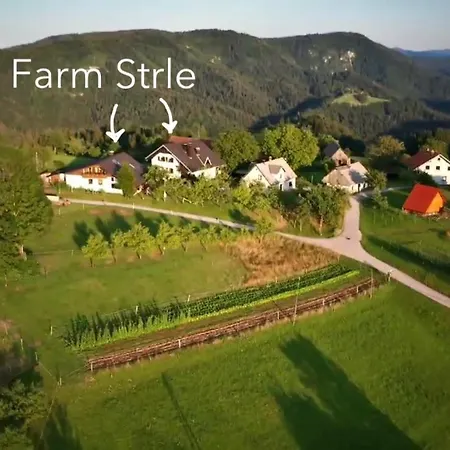 Tourist Farm Strle With Great Local Food Κατάλυμα σε φάρμα