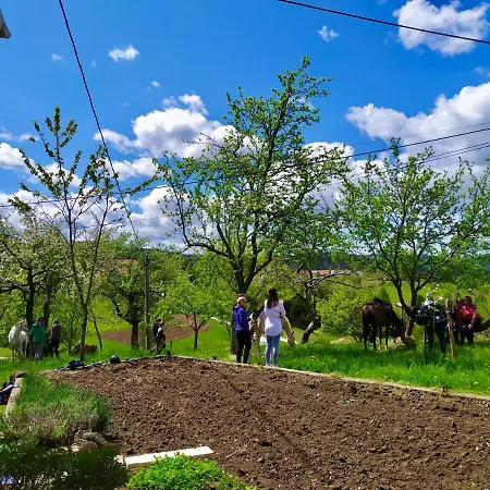 Κατάλυμα σε φάρμα Tourist Farm Strle With Great Local Food Cerknica