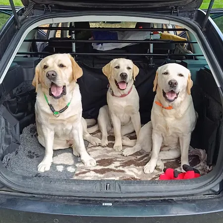 Tourist Farm Strle With Great Local Food *