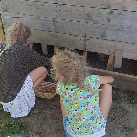 Tourist Farm Strle With Great Local Food Feriegård