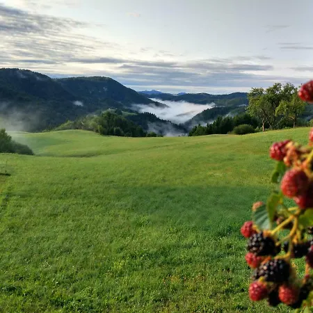 Bivanje na kmetiji Tourist Farm Strle With Great Local Food
