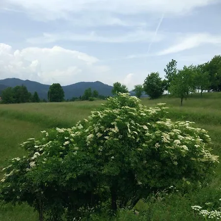 Tourist Farm Strle With Great Local Food Bivanje na kmetiji Cerknica
