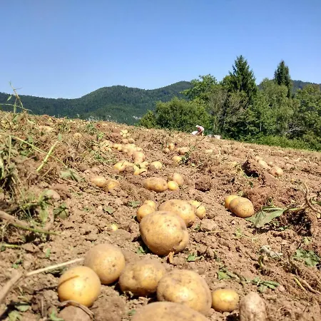 Tourist Farm Strle With Great Local Food * Cerknica