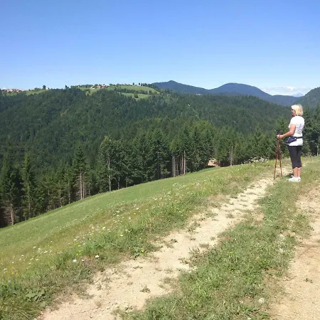 Κατάλυμα σε φάρμα Tourist Farm Strle With Great Local Food Cerknica