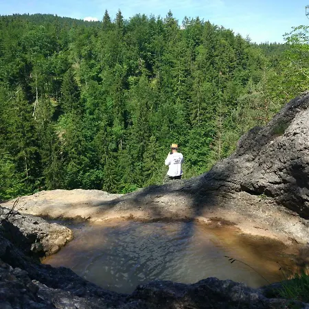 Tourist Farm Strle With Great Local Food Cerknica