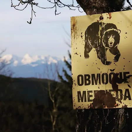 Tourist Farm Strle With Great Local Food Farmház *