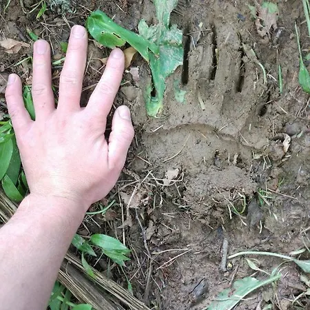 Tourist Farm Strle With Great Local Food *