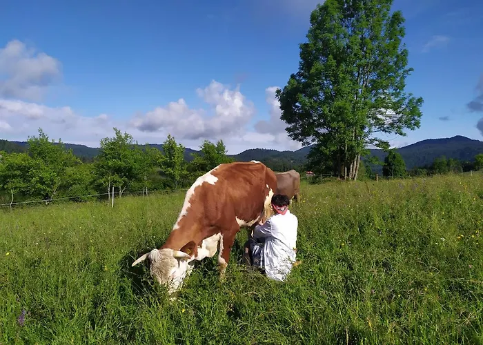 Tourist Farm Strle With Great Local Food *