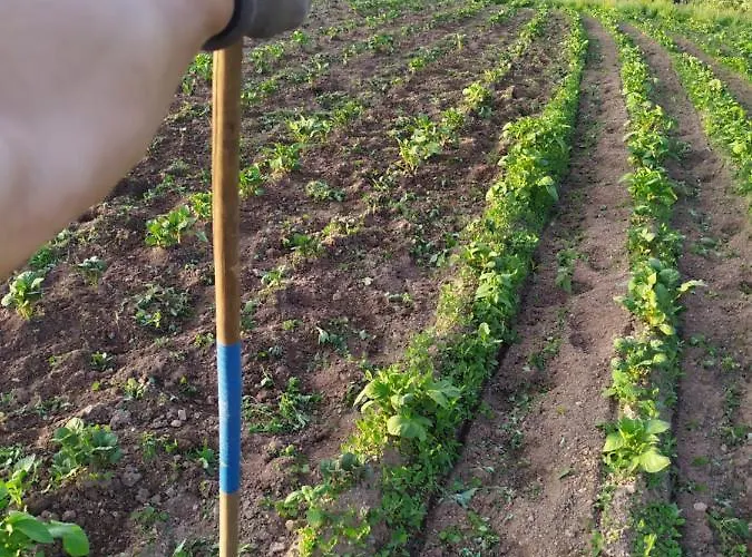 Tourist Farm Strle With Great Local Food בית חווה צרקניצה
