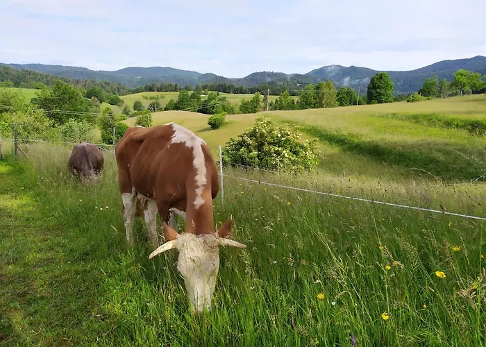 Tourist Farm Strle With Great Local Food *