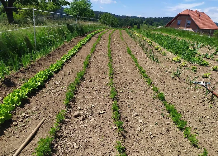 Tourist Farm Strle With Great Local Food Cerknica