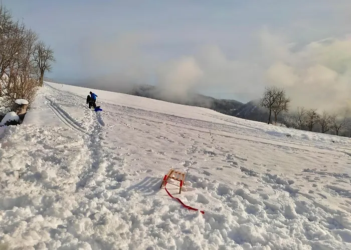 Tourist Farm Strle With Great Local Food