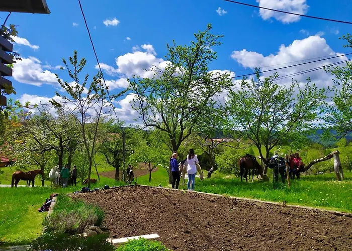 בית חווה Tourist Farm Strle With Great Local Food צרקניצה
