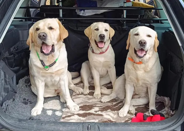 Tourist Farm Strle With Great Local Food *