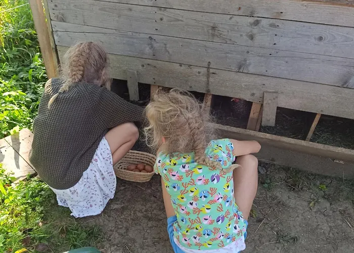 Tourist Farm Strle With Great Local Food Alloggio per agriturismo