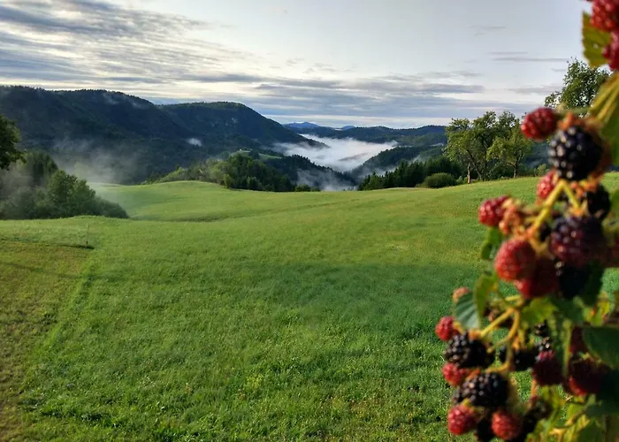 Smještaj na farmi Tourist Farm Strle With Great Local Food