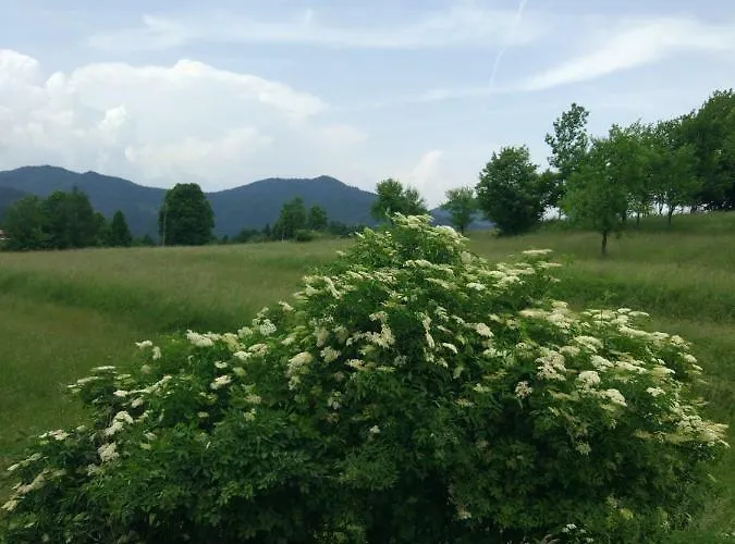 Tourist Farm Strle With Great Local Food Alloggio per agriturismo Cerknica