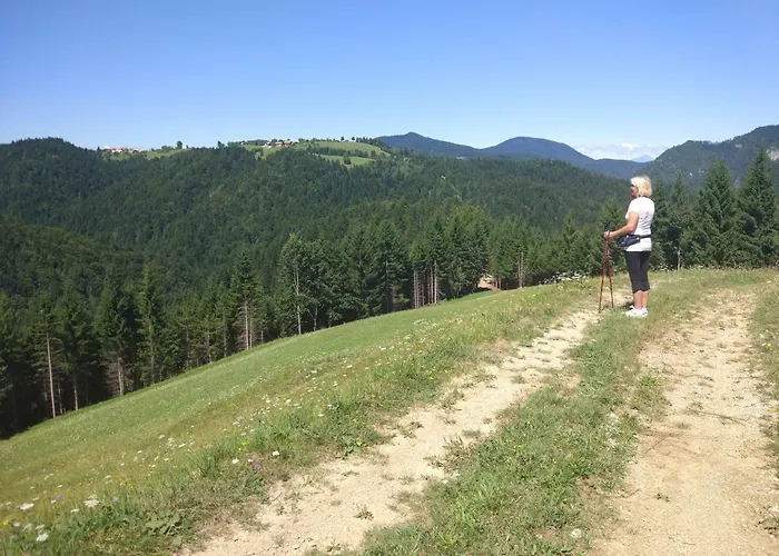 Alloggio per agriturismo Tourist Farm Strle With Great Local Food Cerknica