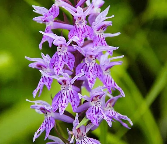 Tourist Farm Strle With Great Local Food *