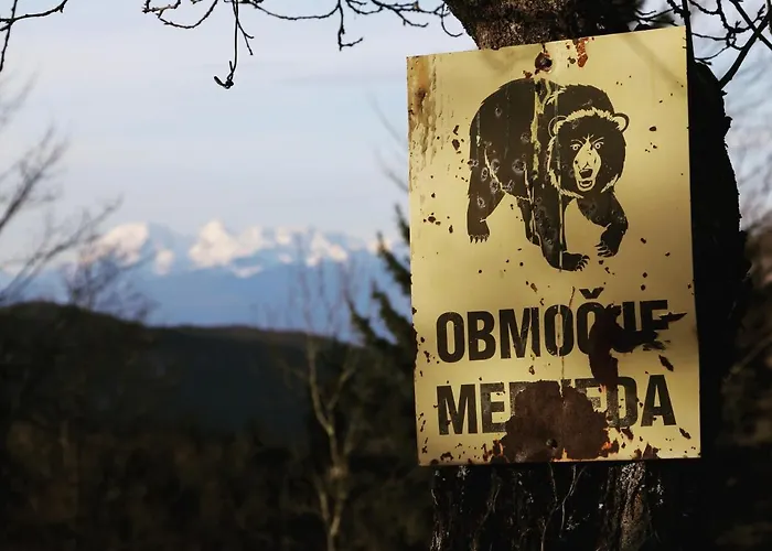 Tourist Farm Strle With Great Local Food בית חווה *