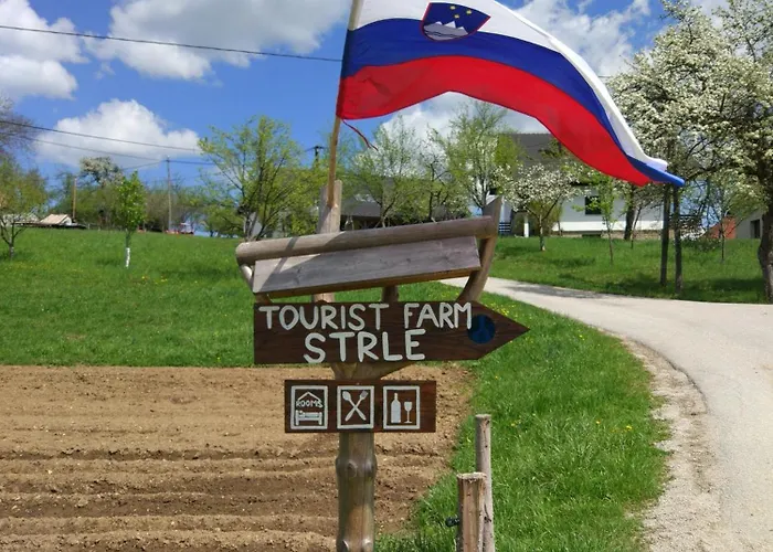 Tourist Farm Strle With Great Local Food בית חווה צרקניצה