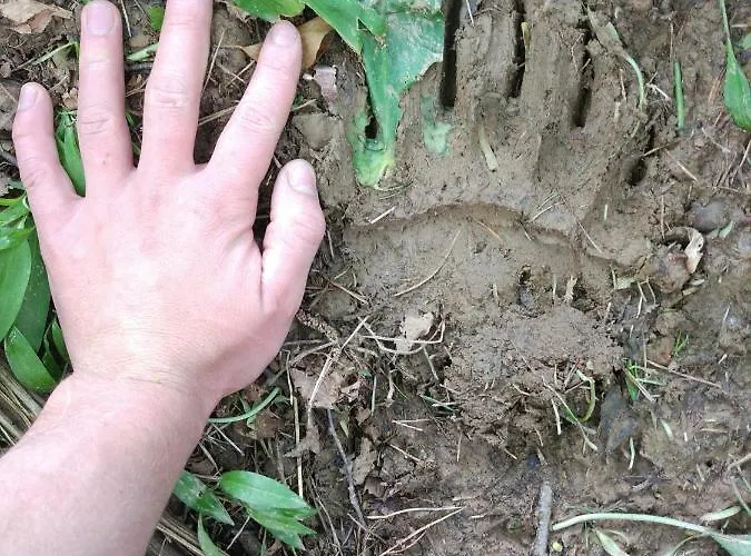 Tourist Farm Strle With Great Local Food *